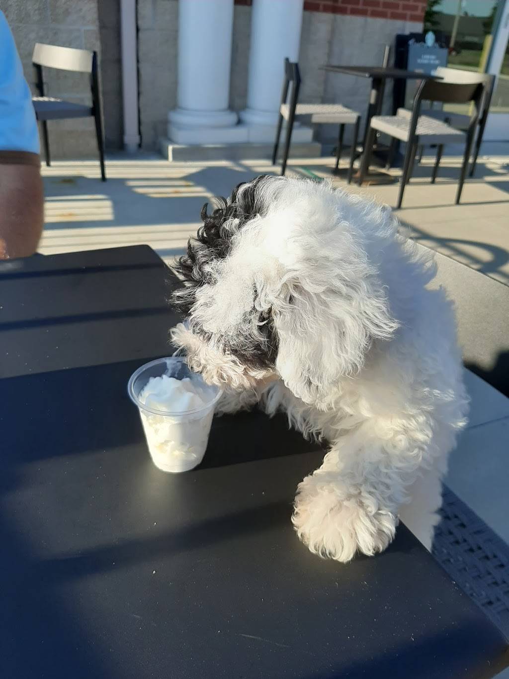 Starbucks | cafe | 545 E Aurora Rd #2, Macedonia, OH 44056, USA | 3304686516 OR +1 330-468-6516