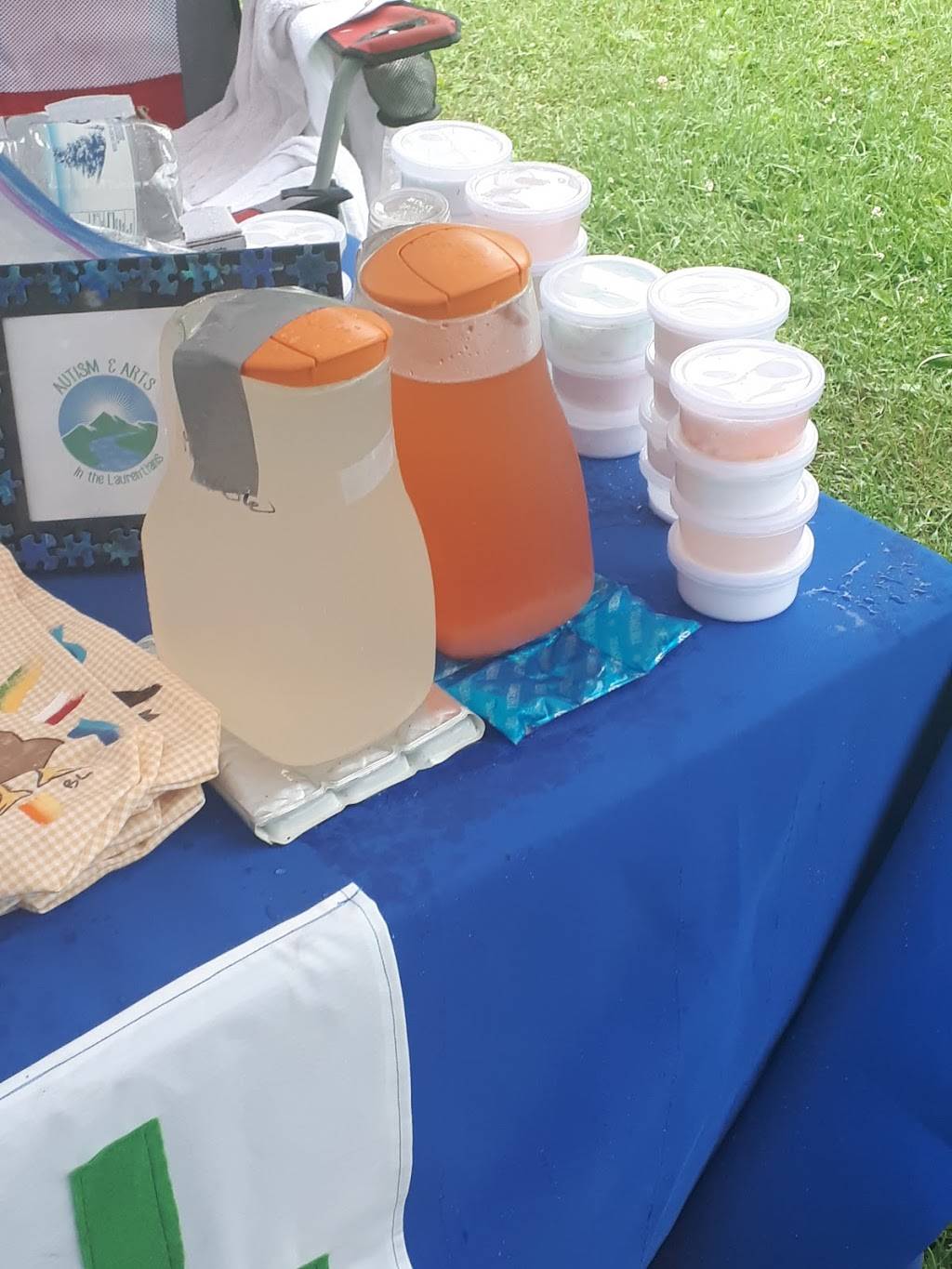 Restaurant Chez Amélie | restaurant | 645 QC-364, Morin-Heights, QC J0R 1H0, Canada | 4502266282 OR +1 450-226-6282