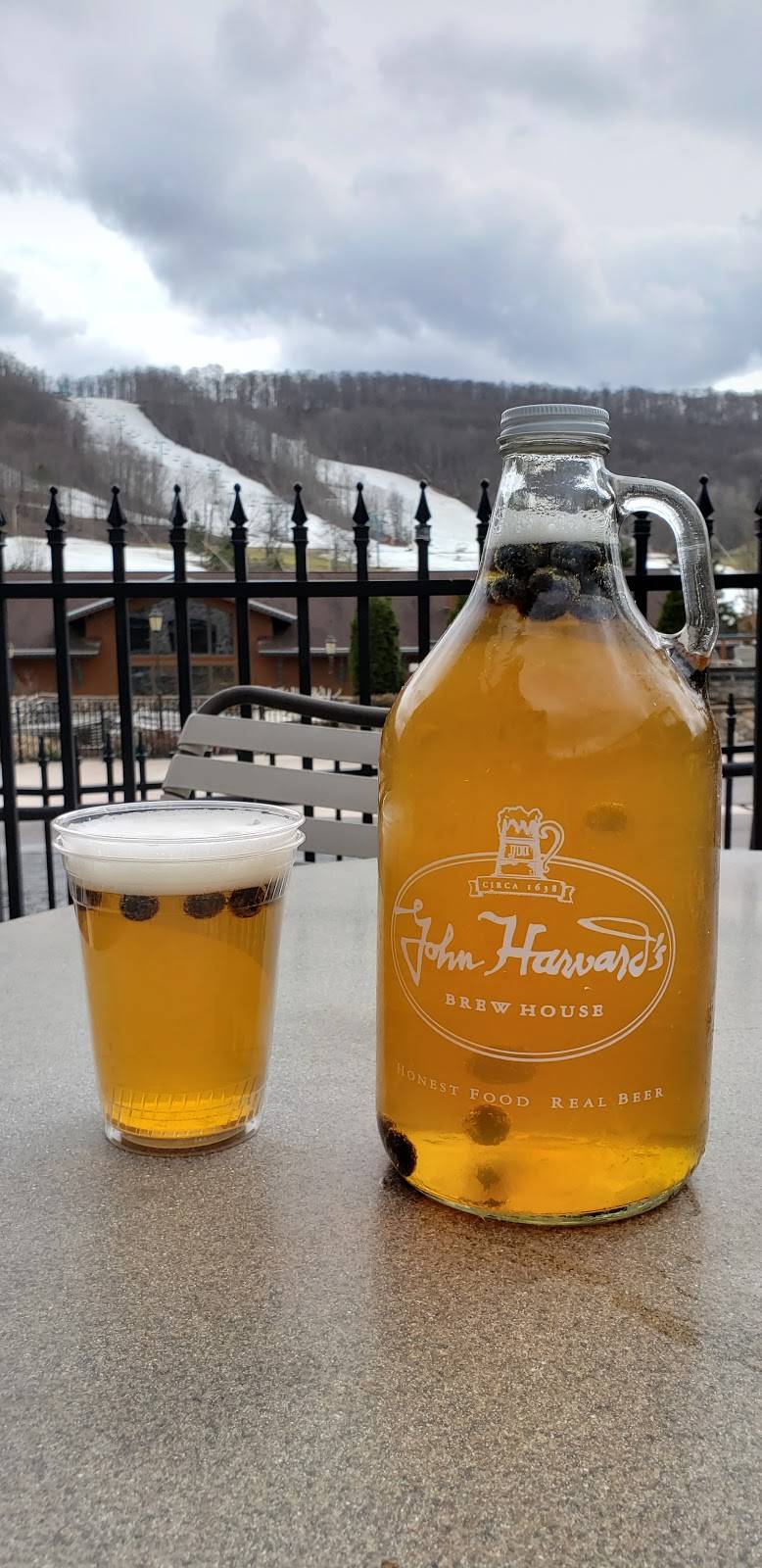 John Harvards Brew House | restaurant | 6447 Holiday Valley Rd, Ellicottville, NY 14731, USA | 7166995350 OR +1 716-699-5350