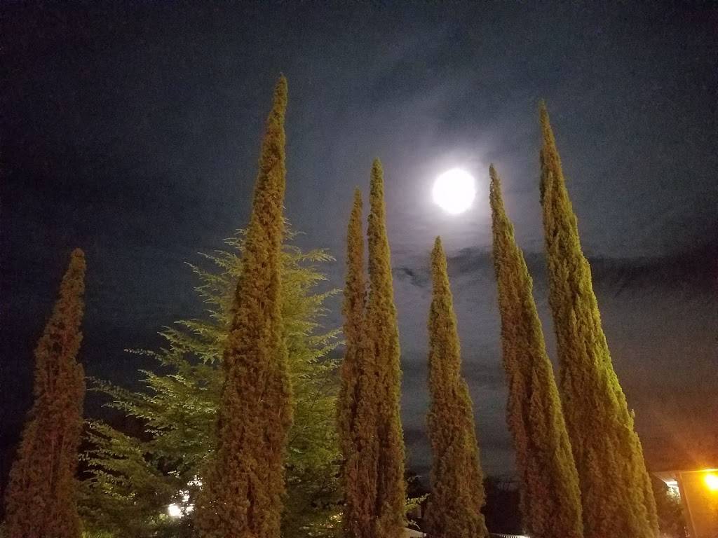 China Delight Restaurant | meal takeaway | 40484 CA-41, Oakhurst, CA 93644, USA | 5596415888 OR +1 559-641-5888