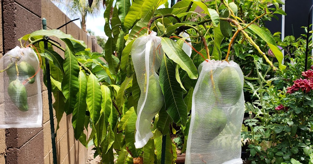 Urban Hills Grow Bag Gardens | restaurant | 557 E Parkview Dr, Gilbert, AZ 85295, USA | 4804867380 OR +1 480-486-7380