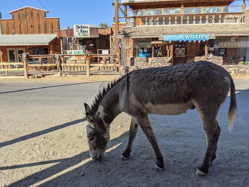 Oatman Hotel Restaurant & Saloon | restaurant | 181 Main St, Oatman, AZ 86433, USA | 9287684408 OR +1 928-768-4408