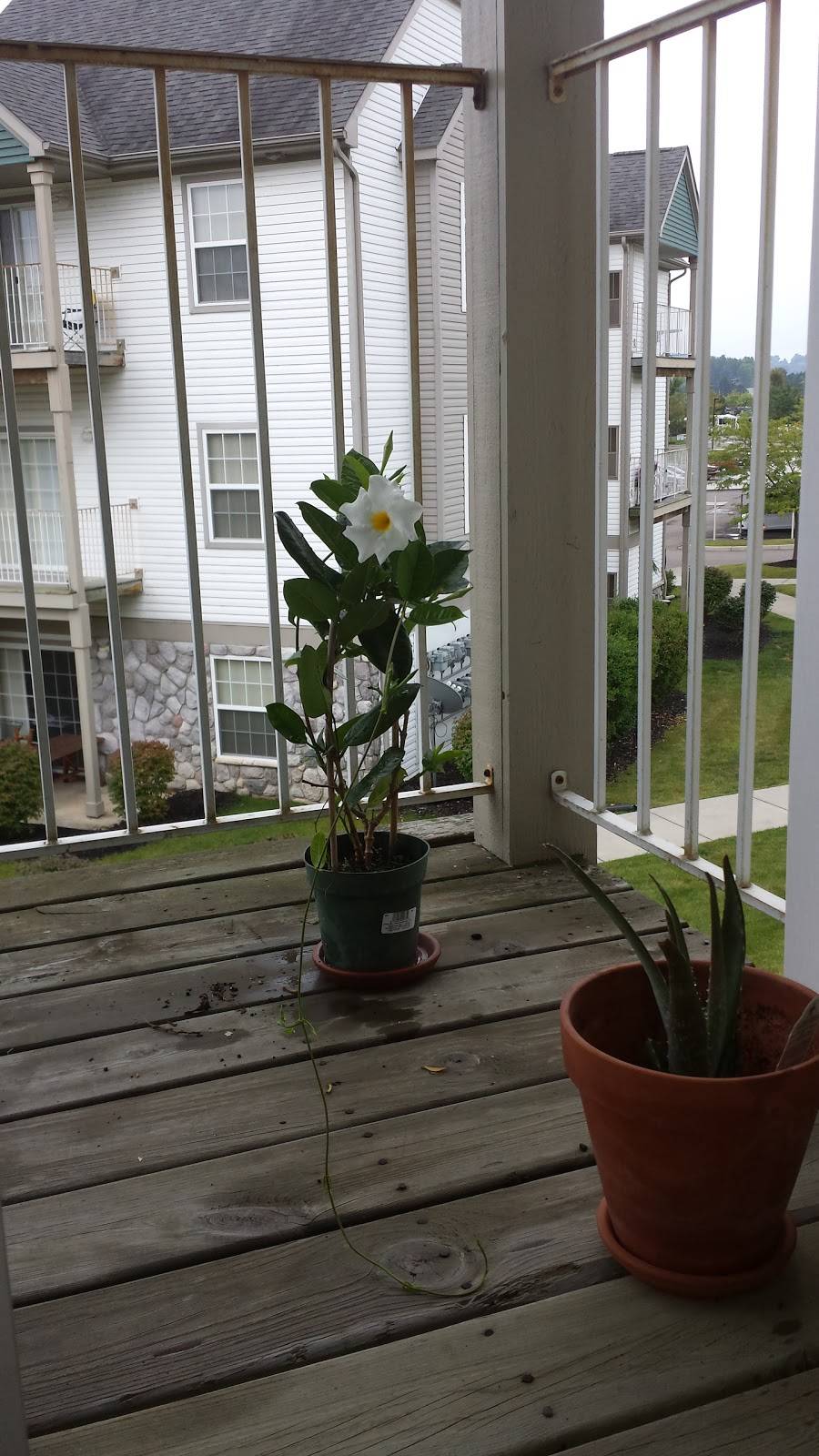 Fenton Village Marketplace | shopping mall | 15010-15110 Silver Pkwy, Fenton, MI 48430, USA | 5136861600 OR +1 513-686-1600