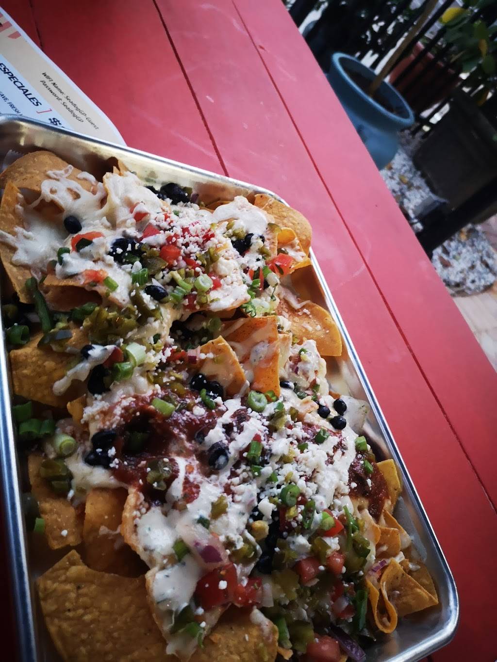 Sea Dog Cantina | restaurant | 2832 Beach Blvd S, Gulfport, FL 33707, USA | 7279140112 OR +1 727-914-0112