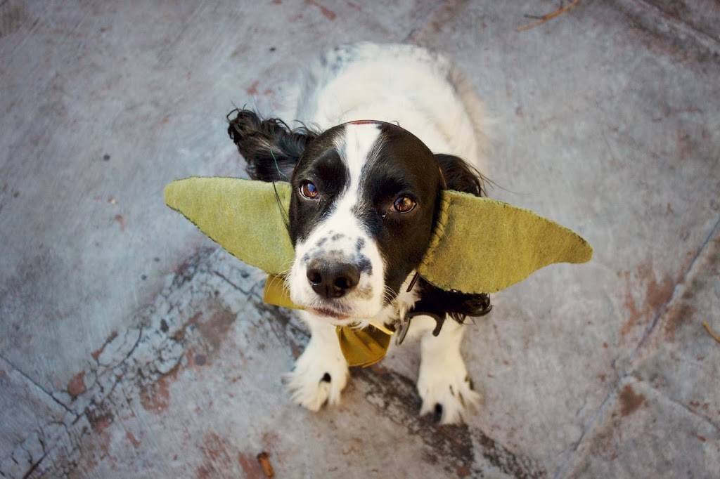 Karben4 Brewing | restaurant | 3698 Kinsman Blvd, Madison, WI 53704, USA | 6082414812 OR +1 608-241-4812