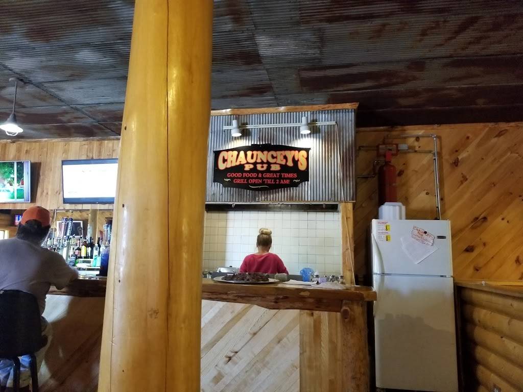 Chaunceys Pub | restaurant | 121 State St, Hillman, MI 49746, USA | 9897423282 OR +1 989-742-3282