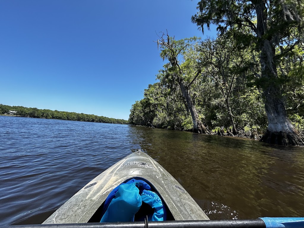 Manatee Springs State Park Tours & Activities | restaurant | 11650 NW 115th St, Chiefland, FL 32626, USA | 3526639960 OR +1 352-663-9960