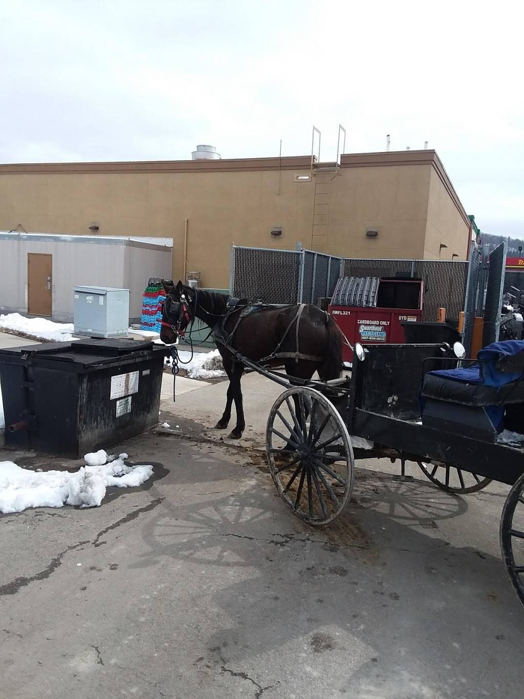 Pilot Travel Center | restaurant | 7767 NY-53, Bath, NY 14810, USA | 6077762012 OR +1 607-776-2012