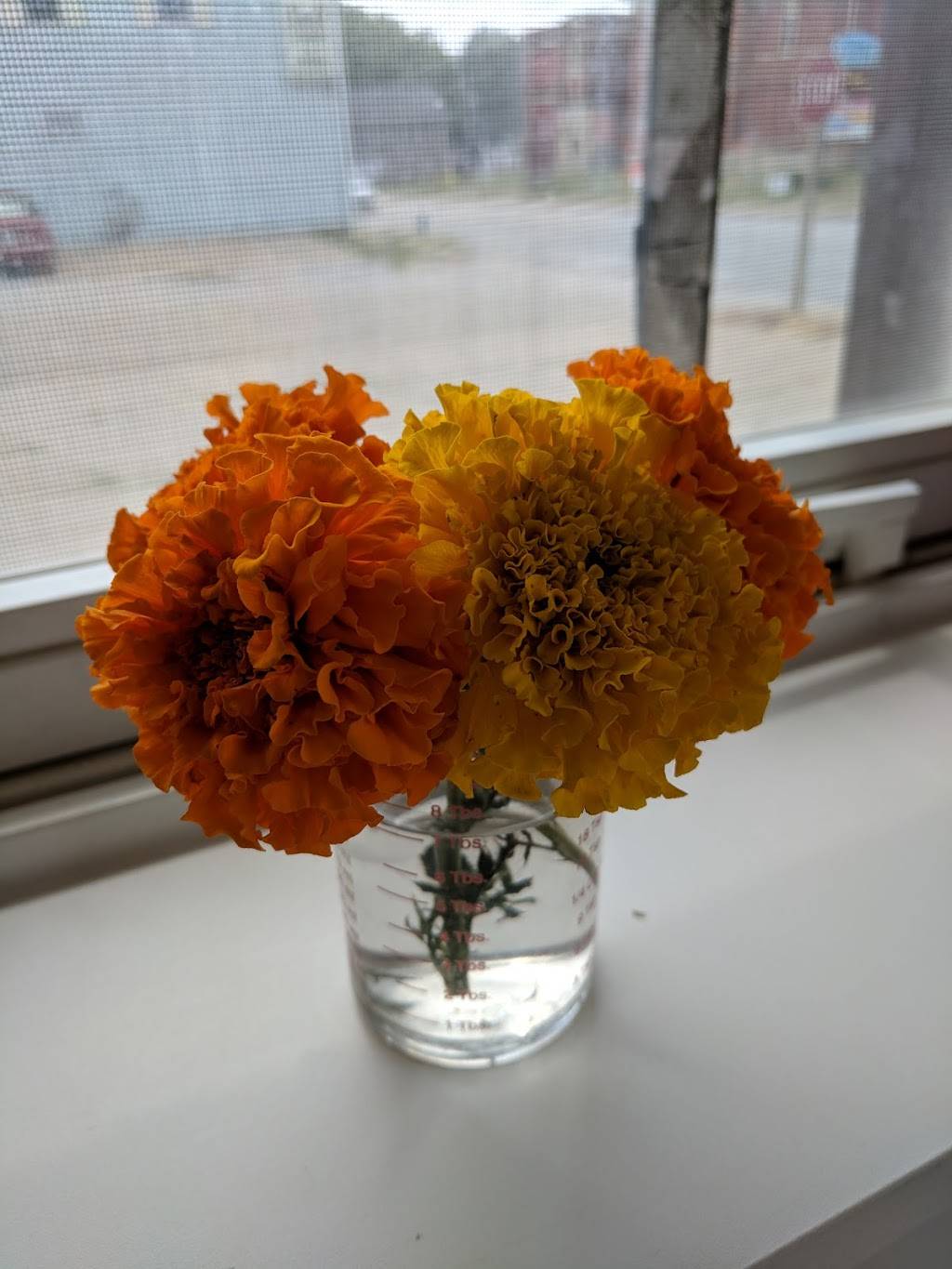 The Butchers Vegetables | restaurant | 839 Park Ave, Muscatine, IA 52761, USA | 5632630238 OR +1 563-263-0238