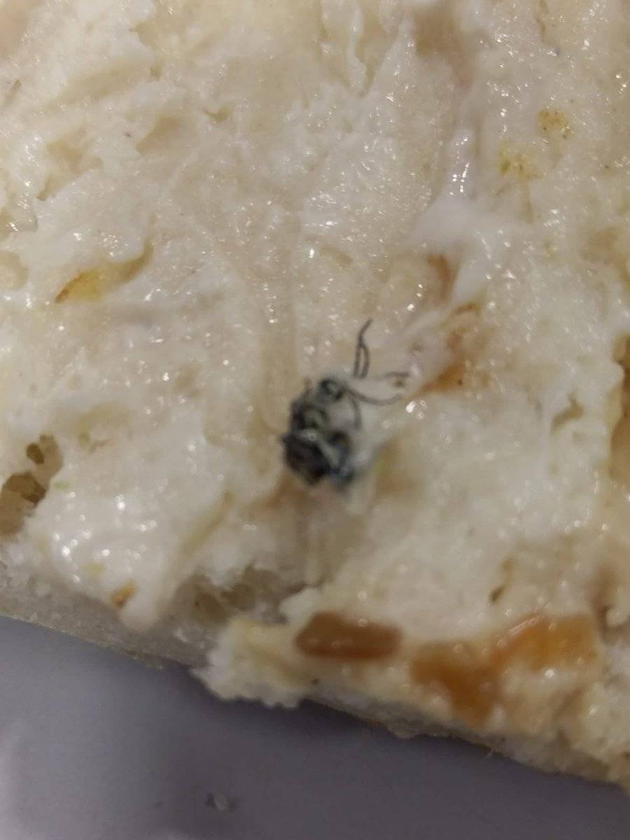 Mr.Sub | restaurant | 22 Stevenson Rd S, Oshawa, ON L1J 5L9, Canada | 9055794778 OR +1 905-579-4778