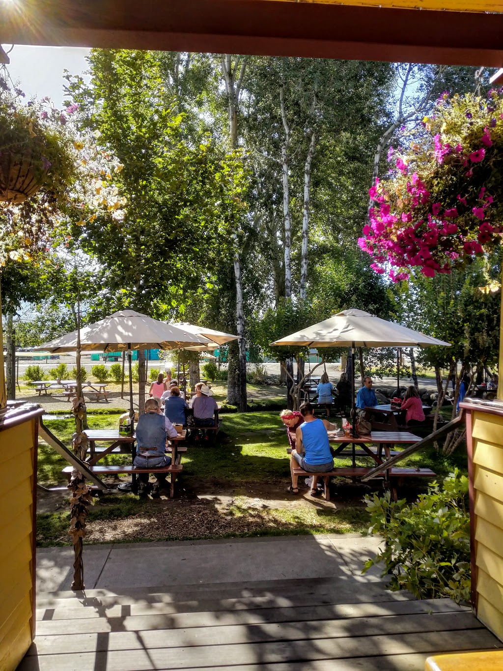 Terminal Gravity Brewery & Pub | restaurant | 803 School St, Enterprise, OR 97828, USA | 5414263000 OR +1 541-426-3000