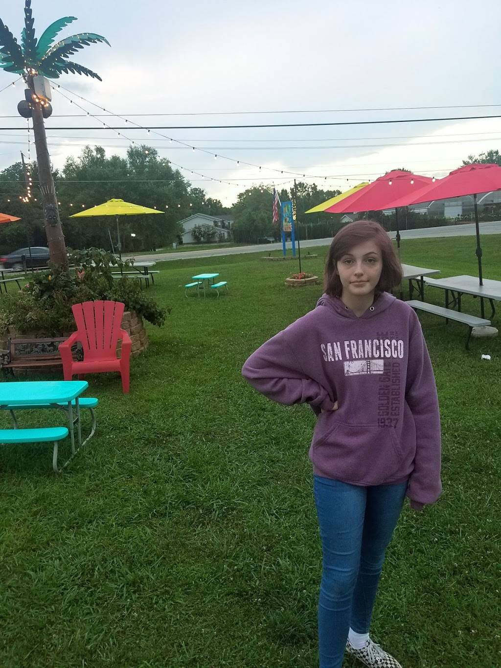 DVine Ice | restaurant | 3715 Dyestone Gap Rd, Knoxville, TN 37931, USA | 8657057906 OR +1 865-705-7906