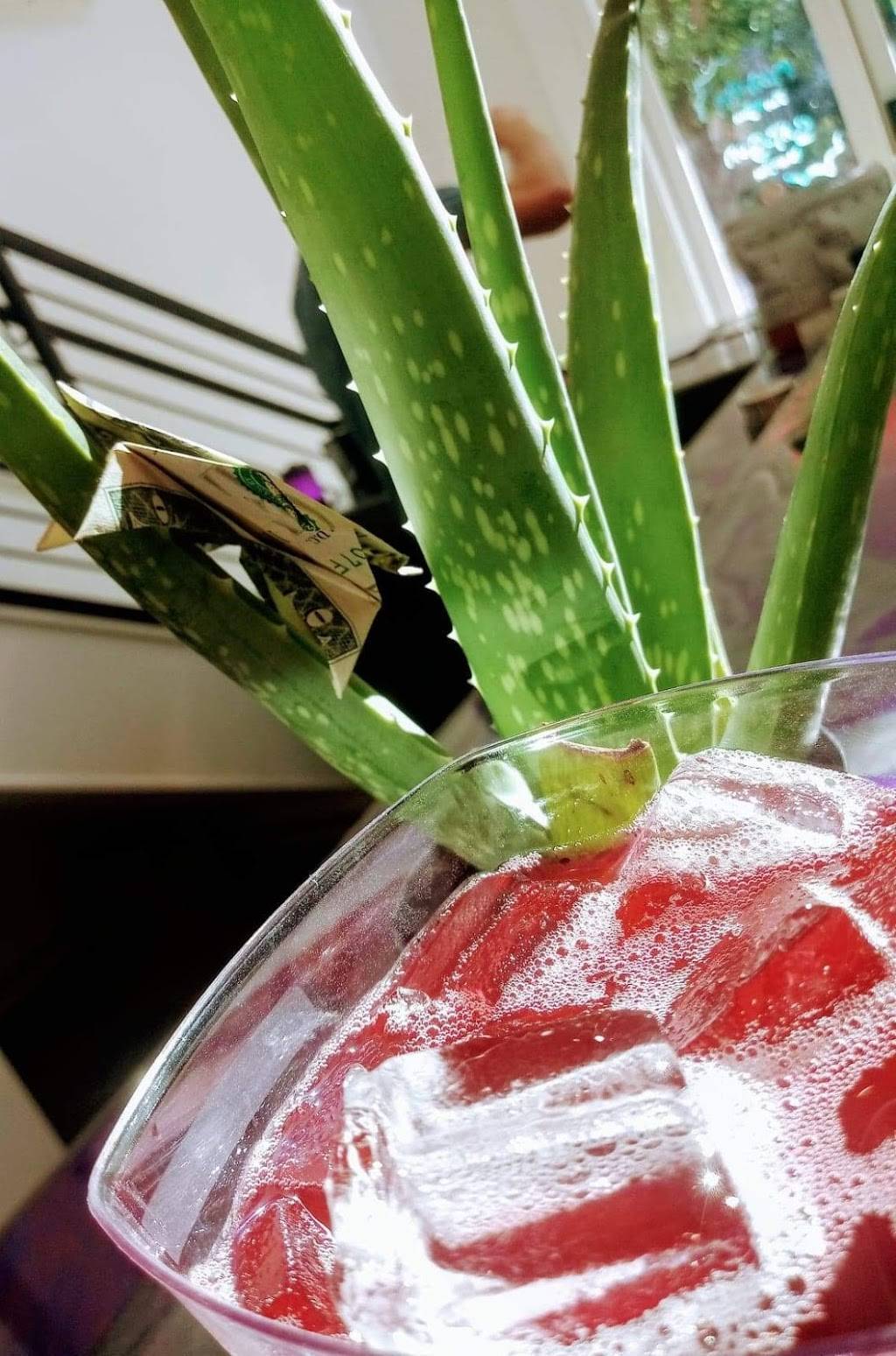 Paseo Nutrition | restaurant | 2807 N Walker Ave, Oklahoma City, OK 73103, USA | 4058123229 OR +1 405-812-3229