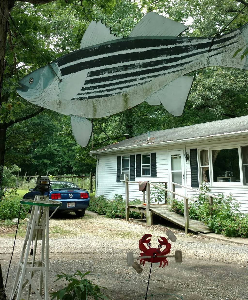Billys Crabs | restaurant | 1605 McGinnes Rd, Chestertown, MD 21620, USA | 4107783511 OR +1 410-778-3511