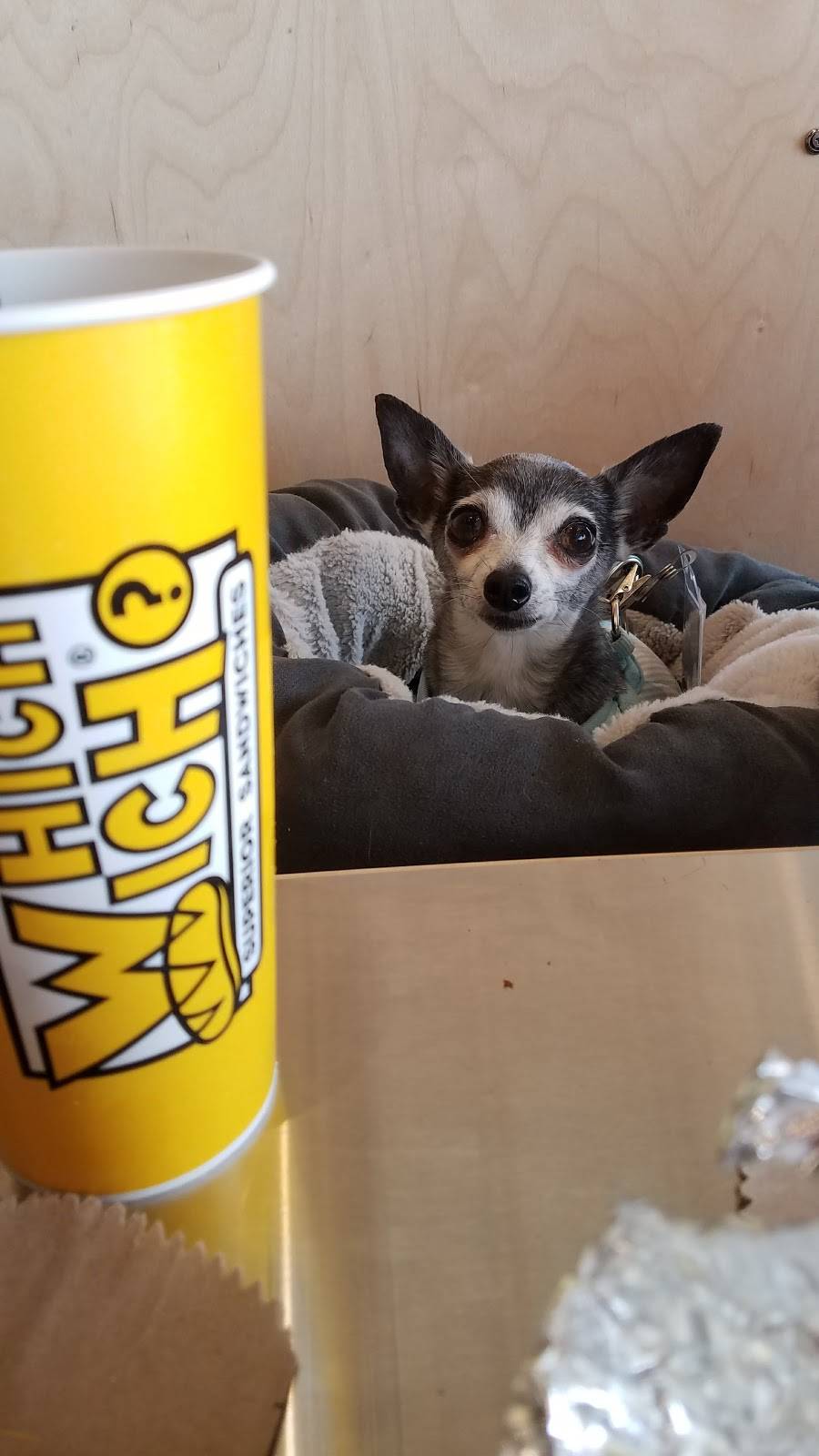 Which Wich Superior Sandwiches | restaurant | 11604 Amargosa Rd Suite #3, Victorville, CA 92392, USA | 7609983008 OR +1 760-998-3008