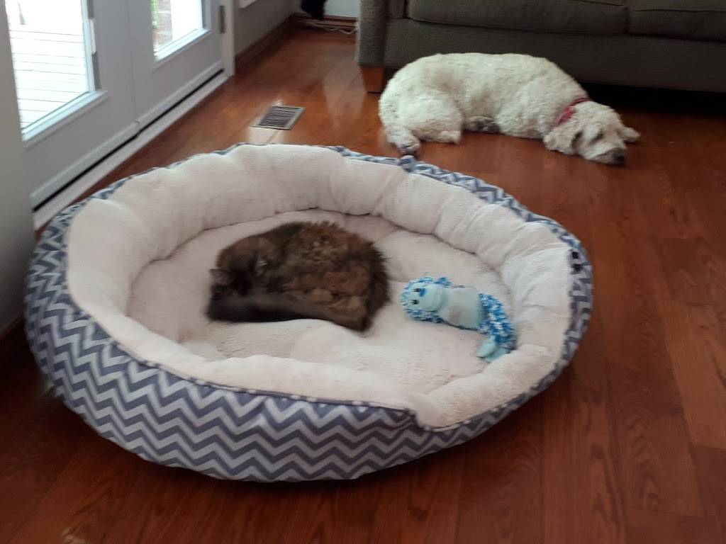 Oasis Lake Side Pita & Icecream | restaurant | 48 Lakeport Rd, St. Catharines, ON L2N 4P5, Canada | 9059388080 OR +1 905-938-8080