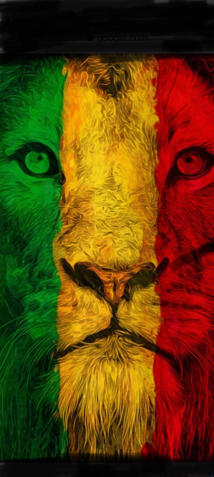 James jerk and catering | restaurant | 24128 Walnut Cir, Plainfield, IL 60585, USA | 7085959249 OR +1 708-595-9249