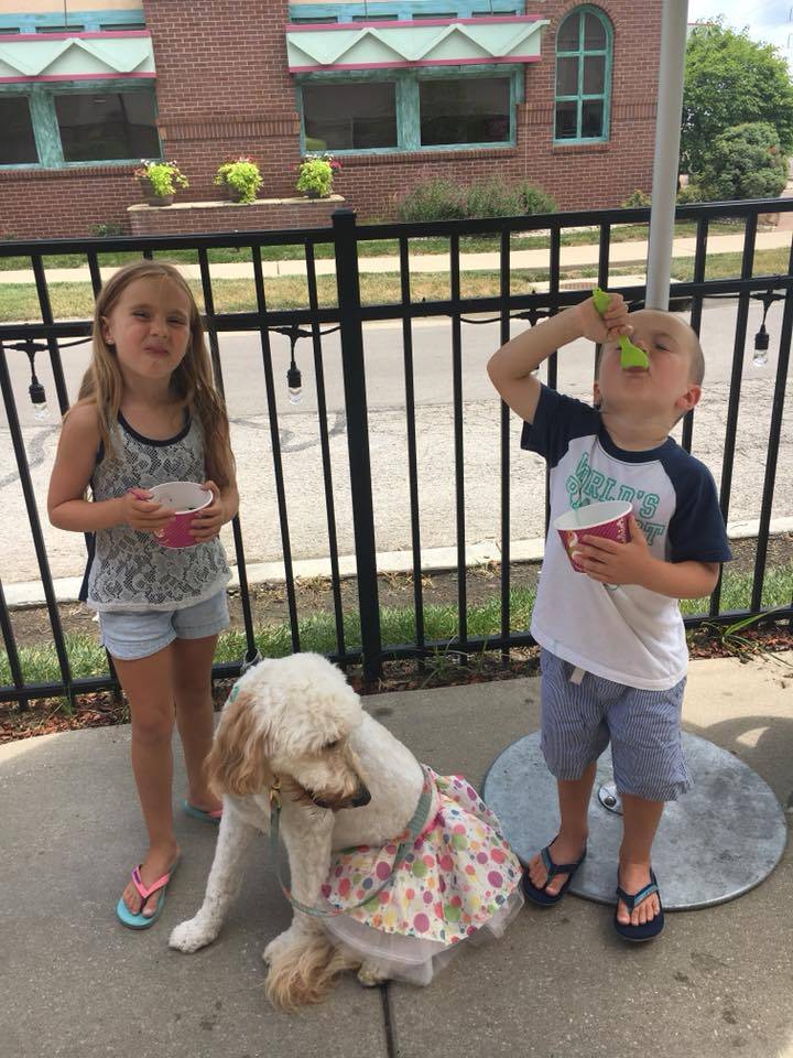 Menchies Frozen Yogurt | bakery | 1802 NW Chipman Rd, Lees Summit, MO 64081, USA | 8163471909 OR +1 816-347-1909