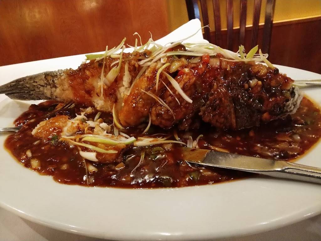 CK Shanghai | restaurant | 15 Washington St, Wellesley, MA 02481, USA | 7812377500 OR +1 781-237-7500