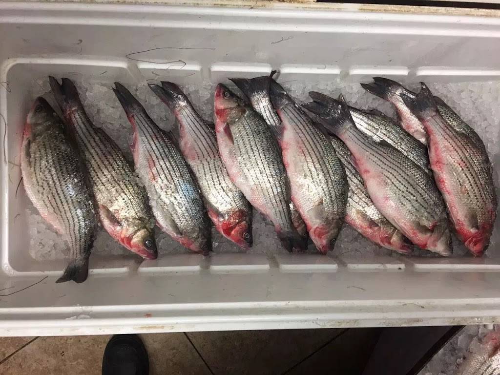 WILD ATLANTIC SEAFOOD | restaurant | 622 Cassat Ave, Jacksonville, FL 32205, USA | 9045517595 OR +1 904-551-7595