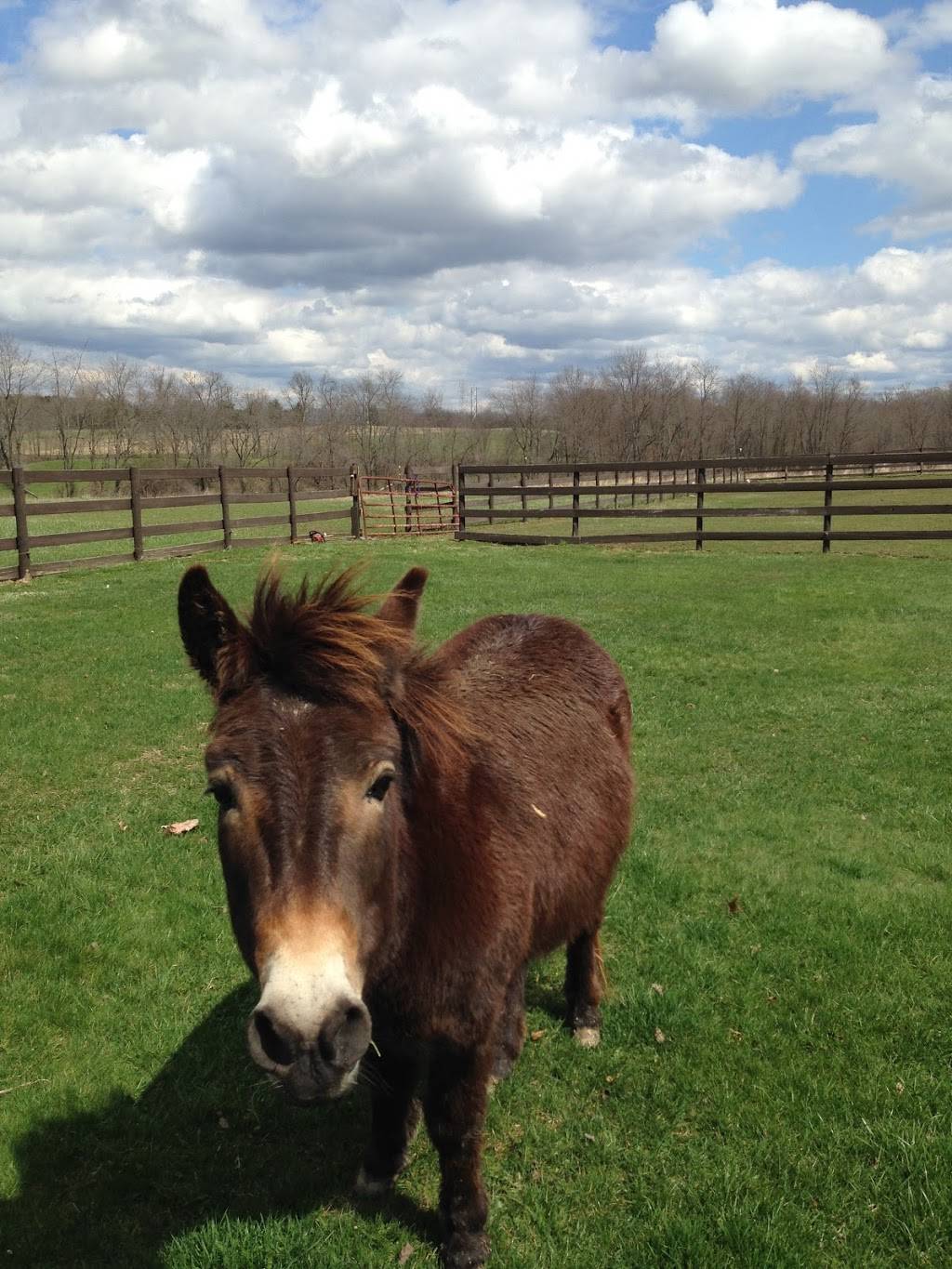 The Winery at Perennial Vineyards | restaurant | 11877 Poorman St SW, Navarre, OH 44662, USA | 3308323677 OR +1 330-832-3677