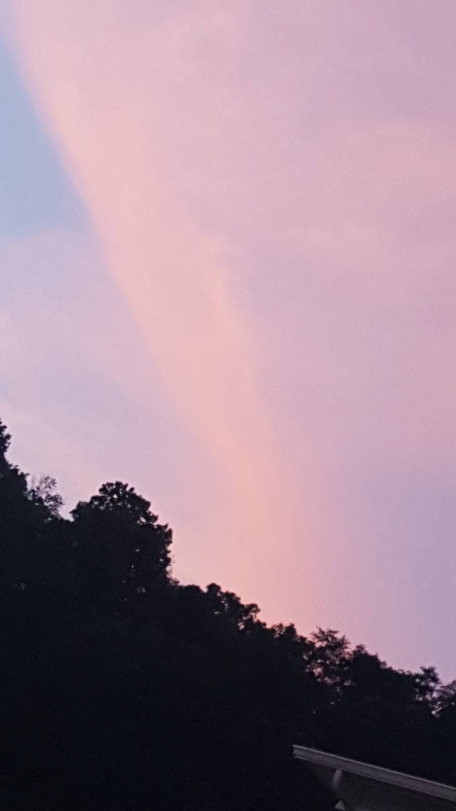 Wendys | restaurant | 238 S Mayo Trail, Pikeville, KY 41501, USA | 6064325060 OR +1 606-432-5060