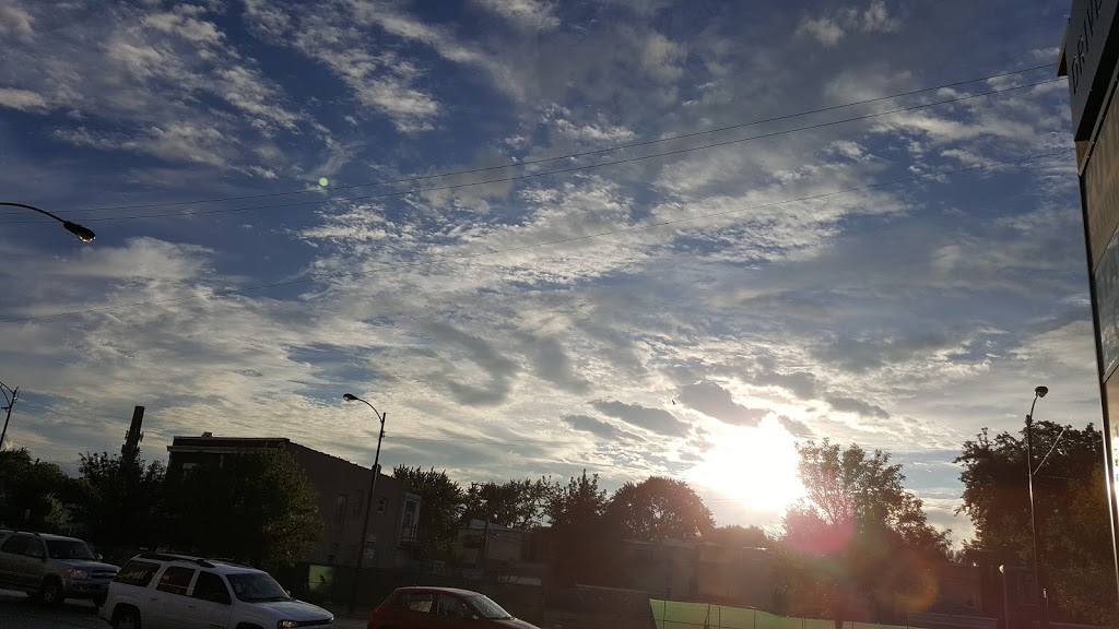 Starbucks | cafe | 3640 N Western Ave, Chicago, IL 60618, USA | 7739359086 OR +1 773-935-9086