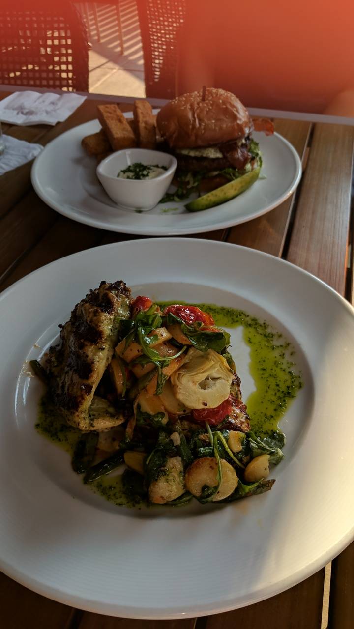 Tampa Tap Room | restaurant | 13150 N Dale Mabry Hwy, Tampa, FL 33618, USA | 8139612337 OR +1 813-961-2337