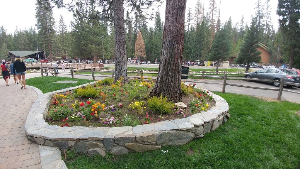 Hume Lake Snack Shop | restaurant | 64144 Hume Lake Rd, Hume, CA 93628, USA | 5593057770 OR +1 559-305-7770