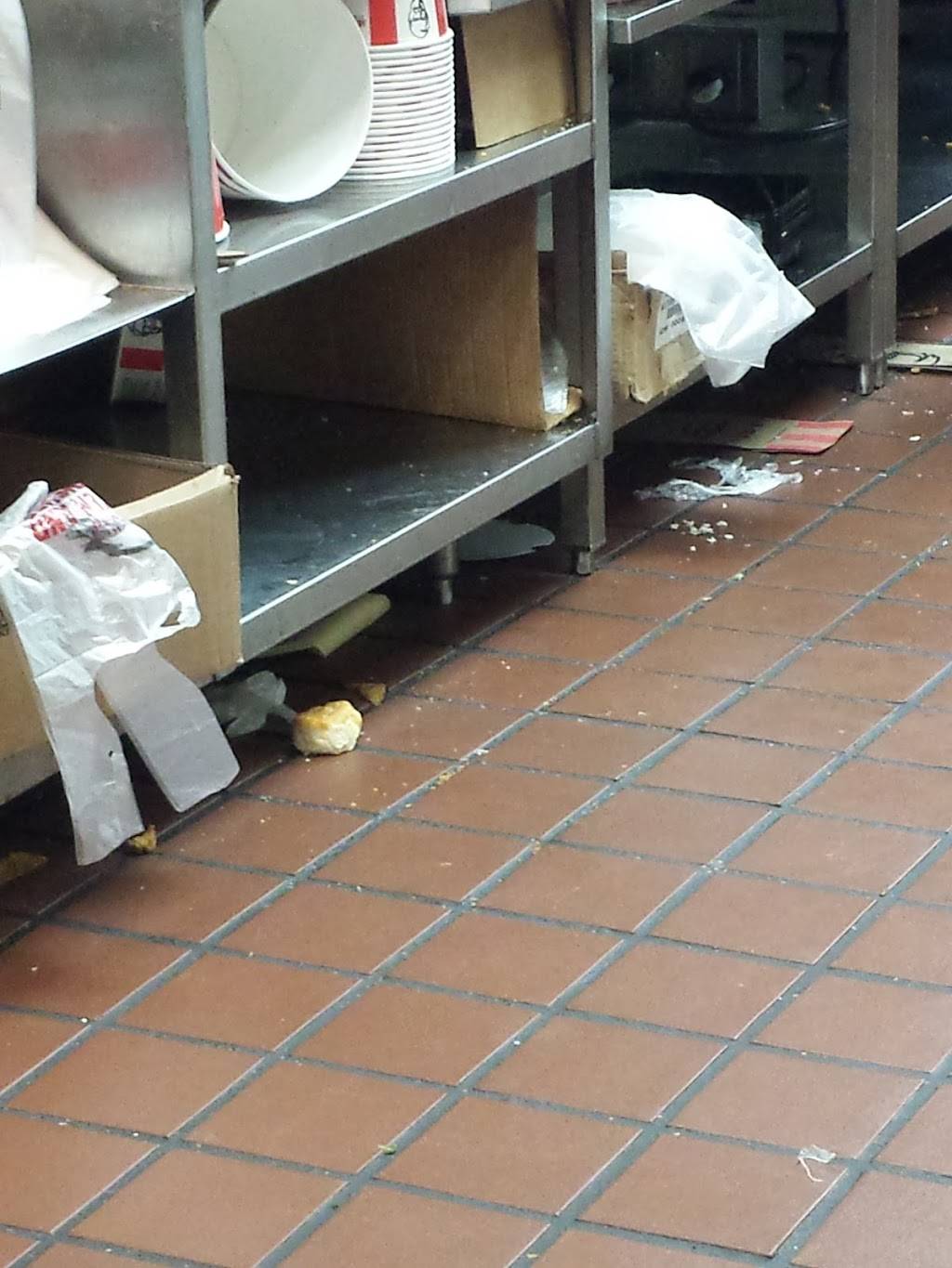 KFC | restaurant | 274 Delaware Ave, Albany, NY 12209, USA | 5184268640 OR +1 518-426-8640