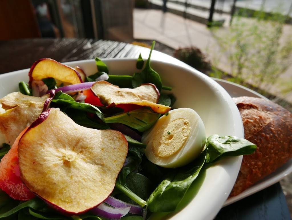 St. Louis Bread Co. | bakery | 10221 Manchester Rd, Kirkwood, MO 63122, USA | 3149658700 OR +1 314-965-8700