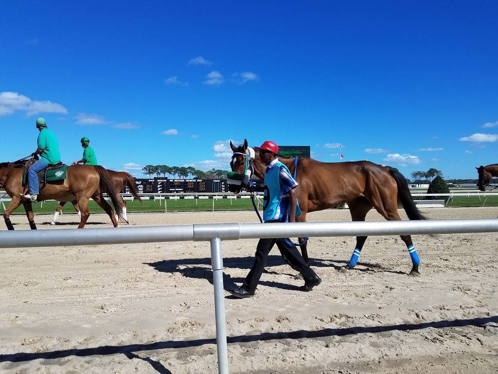 Tampa Bay Downs | restaurant | 11225 Race Track Rd, Tampa, FL 33626, USA | 8138554401 OR +1 813-855-4401