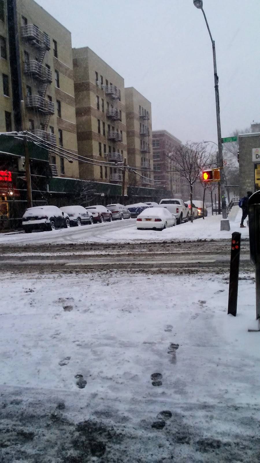 Taino Taste | restaurant | 1106, 302 E 170th St, Bronx, NY 10456, USA | 3474311724 OR +1 347-431-1724