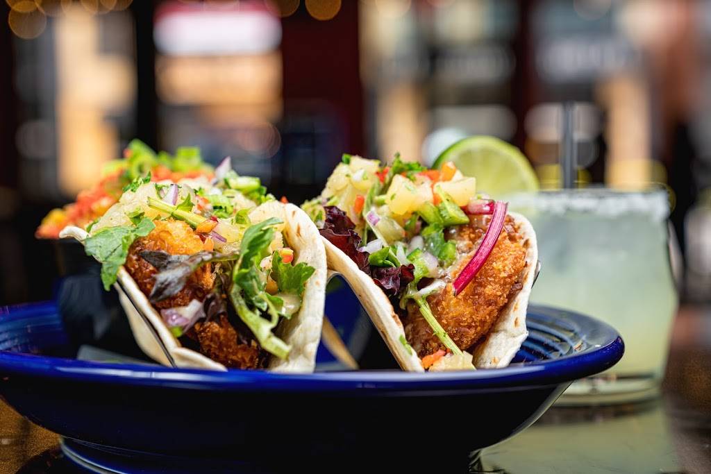 Hale Street Cantina | restaurant | 109 N Hale St, Wheaton, IL 60187, USA | 3317167141 OR +1 331-716-7141