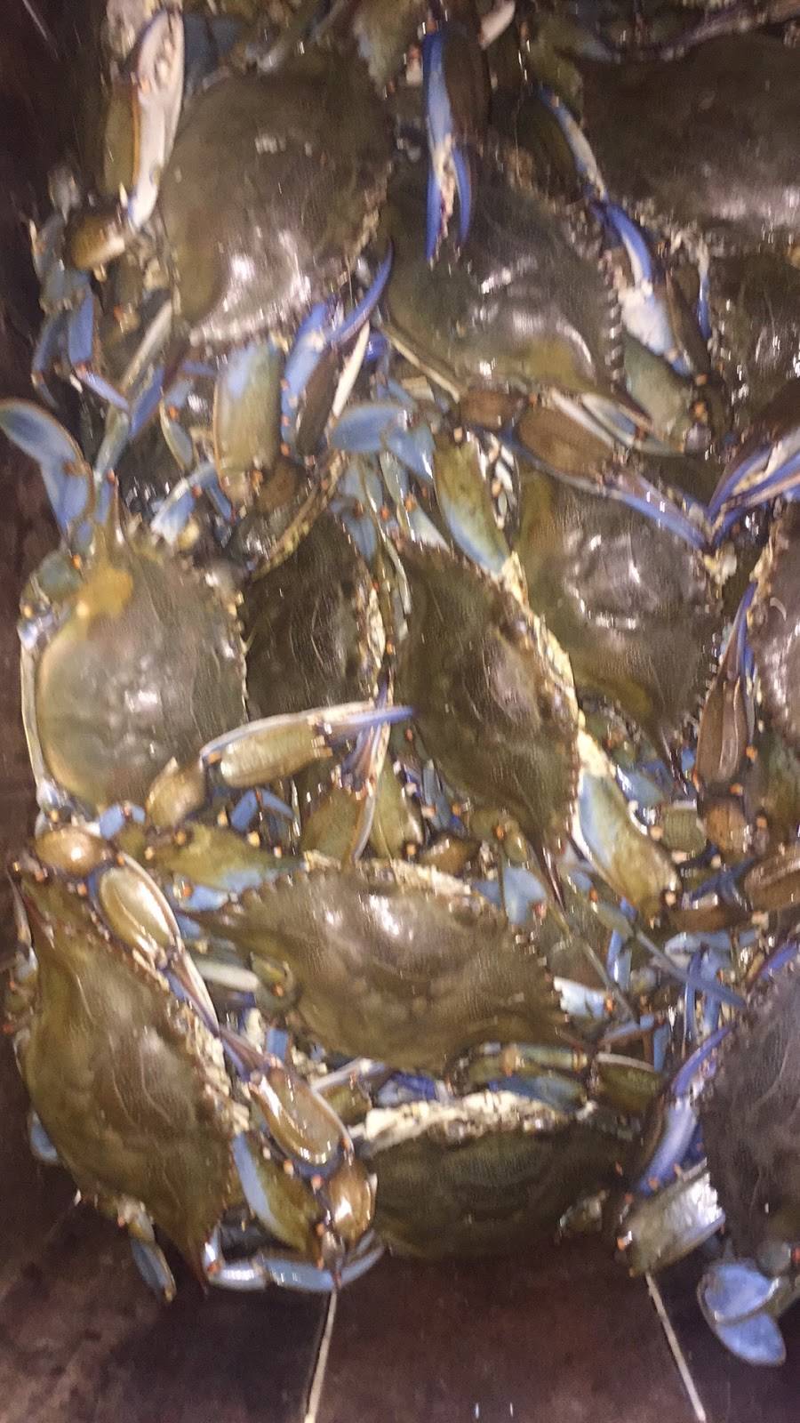 Cypress Point Store ???? | restaurant | 904 St Johns Ave, Palatka, FL 32177, USA | 3863263842 OR +1 386-326-3842