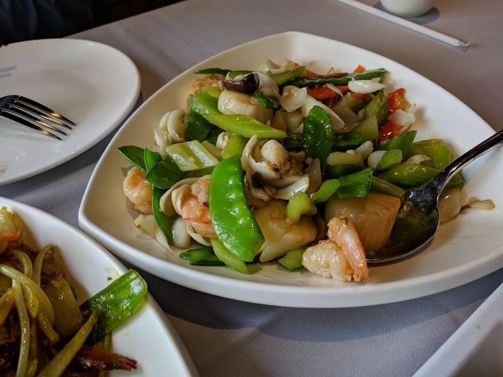 YHS - Yummy House South China Bistro | restaurant | 302 N Dale Mabry Hwy, Tampa, FL 33609, USA | 8135134788 OR +1 813-513-4788