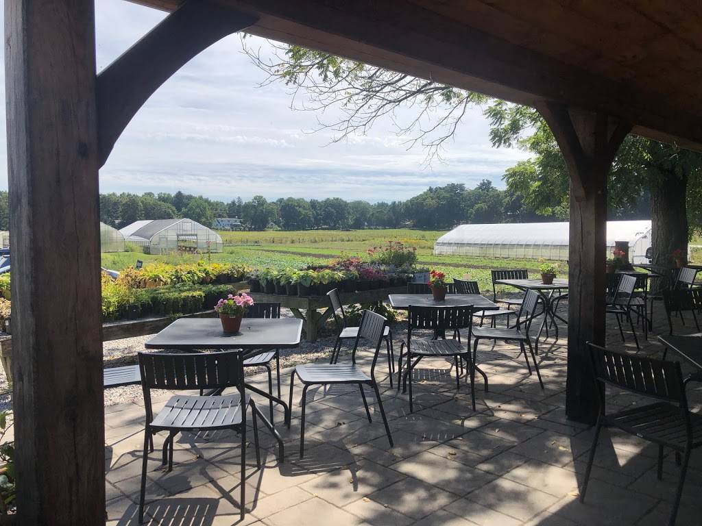 The Farmers Porch at Tangerinis Farm | cafe | 139 Spring St, Millis, MA 02054, USA | 5083765024 OR +1 508-376-5024