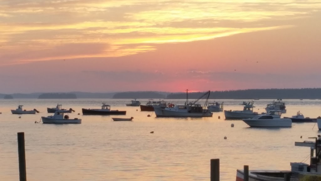 Barneys Cove Lobster Co | restaurant | 7 Wharf Rd, Beals, ME 04611, USA | 2074972244 OR +1 207-497-2244