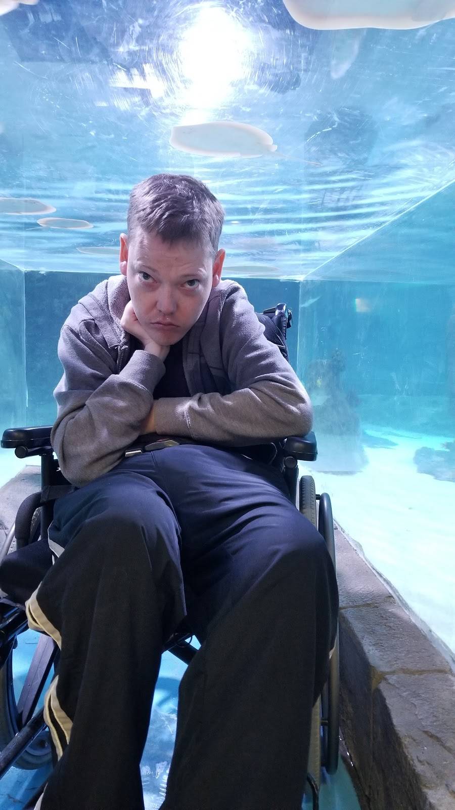 Chipotle Mexican Grill | restaurant | 8501 W Bowles Ave Ste 2020, Littleton, CO 80123, USA | 3039733401 OR +1 303-973-3401