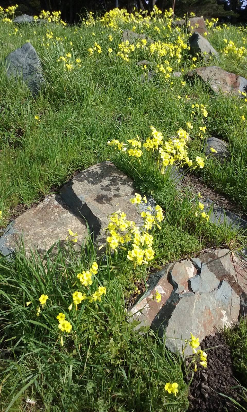 Skates on the Bay | restaurant | 100 Seawall Dr, Berkeley, CA 94710, USA | 5105491900 OR +1 510-549-1900