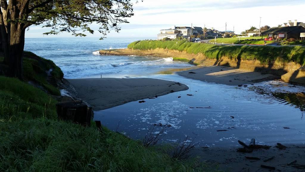 Starbucks | cafe | 21620 E Cliff Dr, Santa Cruz, CA 95062, USA | 8312123489 OR +1 831-212-3489