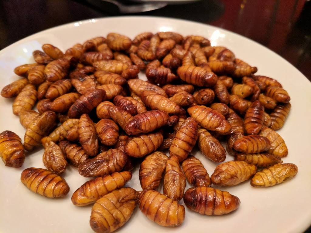 Playground | restaurant | 71-30 Roosevelt Ave, Flushing, NY 11372, USA | 7187797912 OR +1 718-779-7912