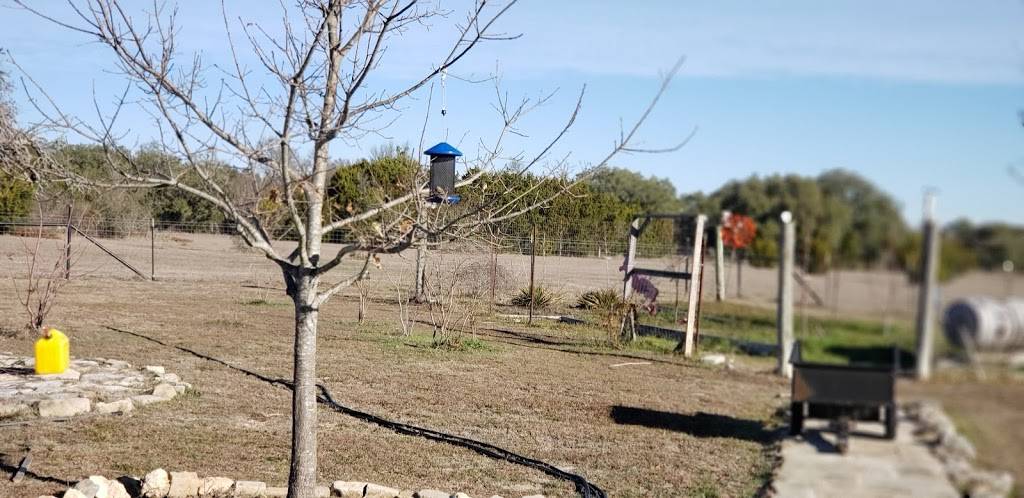 Waffle House | restaurant | 13861 Cypress North Houston Rd, Cypress, TX 77429, USA | 3462545109 OR +1 346-254-5109