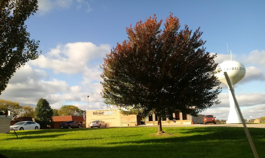 Hillcrest Lanes | restaurant | 420 E State St, Belding, MI 48809, USA | 6167942020 OR +1 616-794-2020