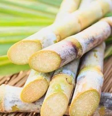 Sau Voi Deli | meal takeaway | 7330 Clairemont Mesa Blvd #109, San Diego, CA 92111, USA | 8582920986 OR +1 858-292-0986