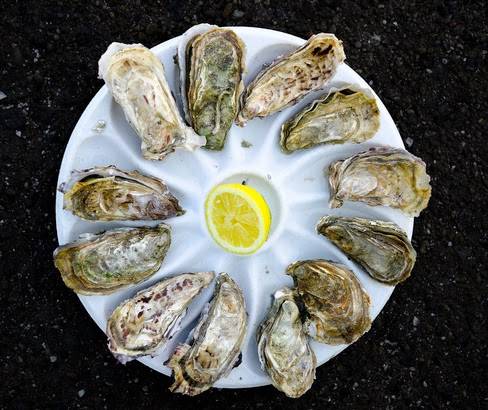 The Boatyard Waterfront Bar and Grill | restaurant | 1500 Stickney Point Rd, Sarasota, FL 34231, USA | 9419216200 OR +1 941-921-6200