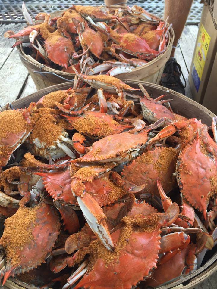 Papa Dents Crabs | restaurant | 15807 Jefferson Davis Hwy, Woodbridge, VA 22191, USA | 7036566821 OR +1 703-656-6821