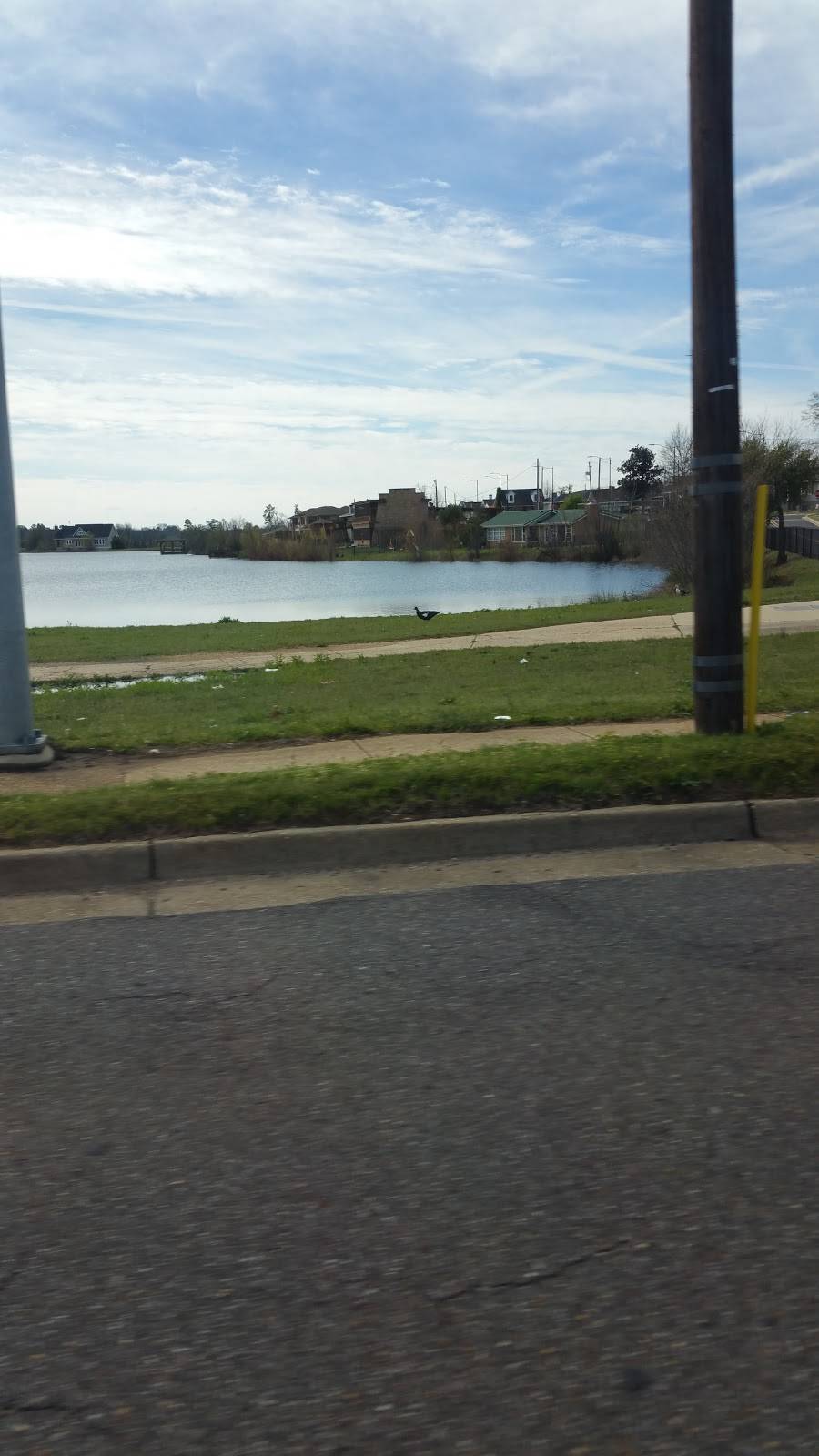 Hoos Q | restaurant | 101 15th St E, Tuscaloosa, AL 35401, USA | 2053456400 OR +1 205-345-6400