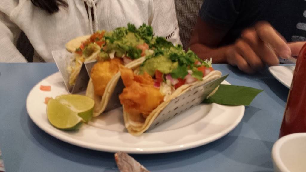 Waters Cafe | restaurant | 32-250 Bob Hope Dr, Rancho Mirage, CA 92270, USA | 8889991995 OR +1 888-999-1995