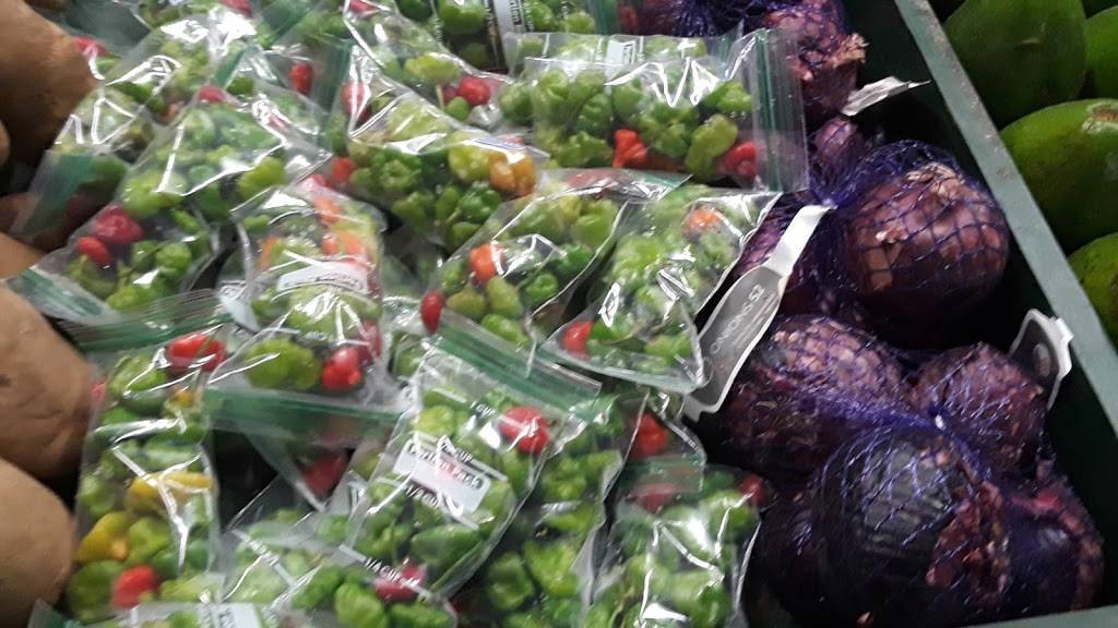 Rincón Cubano | restaurant | 14410 SW 200th St, Miami, FL 33177, USA | 3058127215 OR +1 305-812-7215